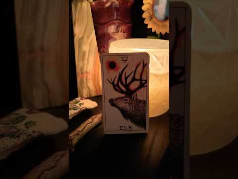 The Elk Spirit