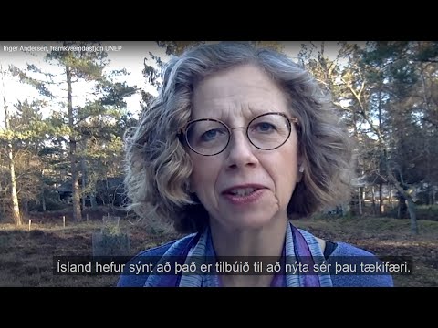 Video: Vad ingår i en engagemangsceremoni?