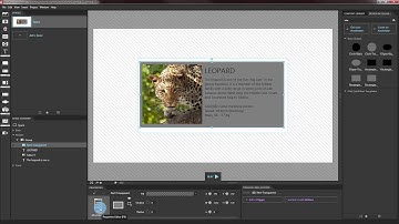 IntuiFace- Group Collection