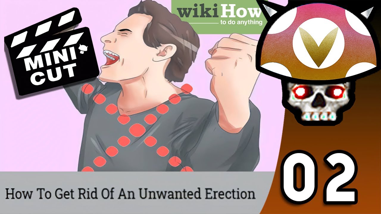 [Vinesauce] Joel Wikihow Guessing Game Highlights ( Part 2 ) YouTube