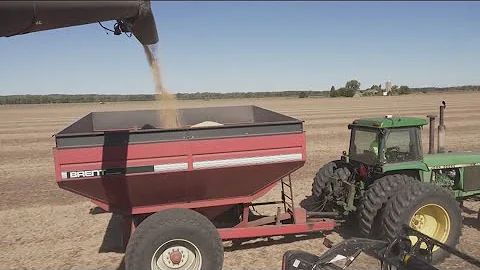 Soybean farmers caught in middle of Trump's trade war with China