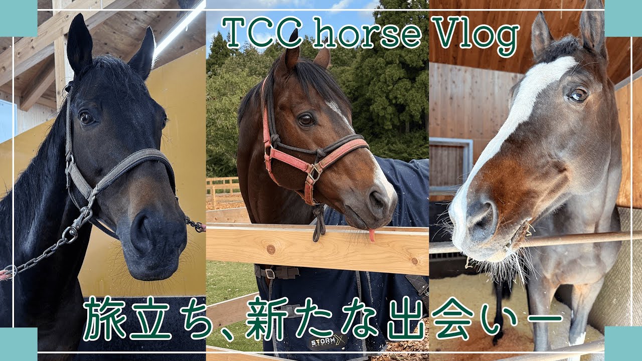 旅立ち、そして新たな出会い🐴｜TCCホースVlog