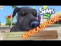 Исполнение желаний: письмо от GOOGLE.  The Sims 2 Apocalypse Challenge-29