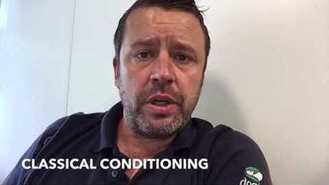 Dog training made simple - classical and operant conditioning