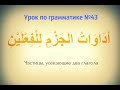 № 43 Частицы, усекающие два глагола أدَاوَاتُ الجَزْمِ لِلْفِعْلَيْنِ