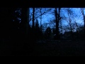 Blackbird Singing In The Dead Of Night Rick Wakeman mp3