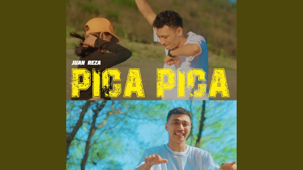 PICA PICA