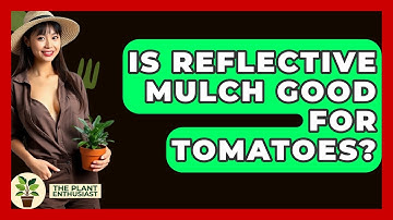 Is Reflective Mulch Good For Tomatoes? - The Plant Enthusiast