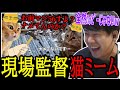 建築業界の猫ミームを見て爆笑するゆゆうた【2024/03/01】