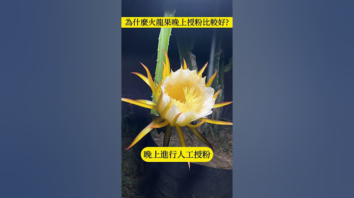 火龙果为什么晚上授粉比较好? - 天天要闻