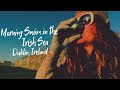 Sunrise Swim at Half Moon Club | Poolbeg Lighthouse | Dublin, Ireland
