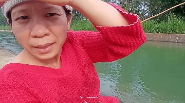 câu được con cá trê hồ gia ui xuân lộc đồng nai