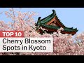 Top 10 Cherry Blossom Spots in Kyoto | japan-guide.com