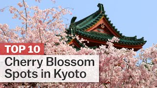Top 10 Cherry Blossom Spots in Kyoto | japanguide.com
