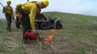 Prescribed Burns