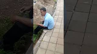 Driver Blue Bird Ini