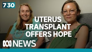 Uterus transplant offers hope for the future of infertility treatment | 7.30