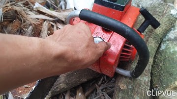 Bệnh sôi xăng trên máy cưa xích Echo 302