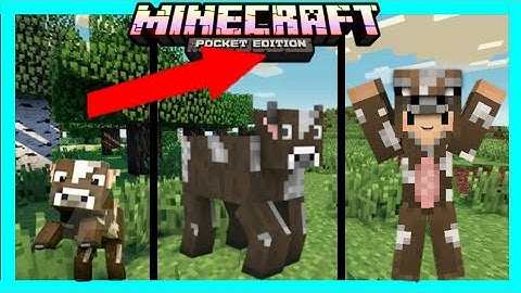 Nếu con bò có cuộc sống trong minecraft