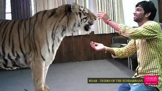 Yogi Face To Face With The Tigers Of The Sundarbans screenshot 5