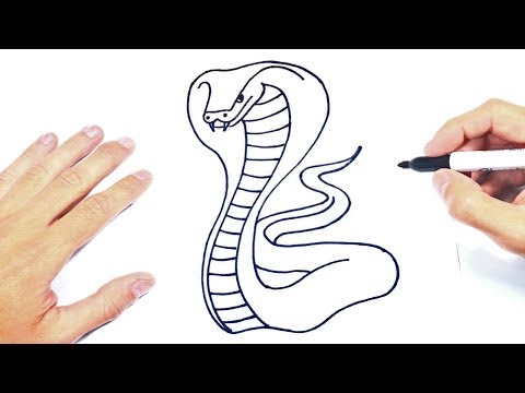 Video: Cómo Dibujar Una Serpiente Con Un Lápiz