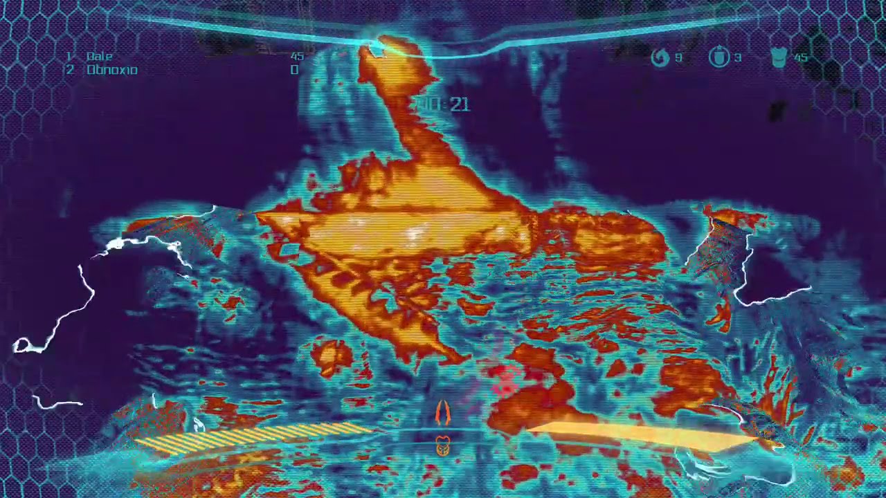 AVP 2010 Predator's vision bug