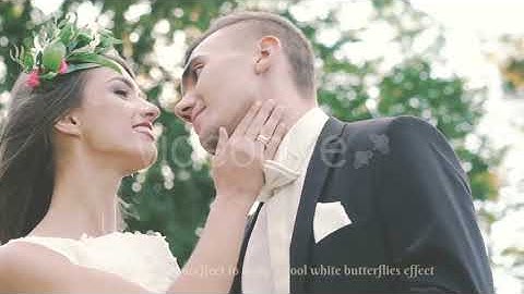 Butterflies Transition with Luma Matte – 7 Variations | Motion Graphics - Envato elements