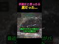 不発だと思ったら罠だった...