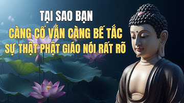 Bạn Không Thật Sự Mắc Kẹt – Bạn Chỉ Chưa Thấy Lối Ra Trí Tuệ Phật Giáo Sẽ Chỉ Cho Bạn