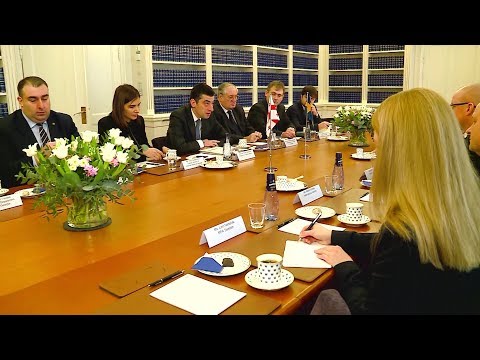 მორგან იოჰანსონი საქართველოს ვიზალიბერალიზაციას ეჭვქვეშ არ აყენებს