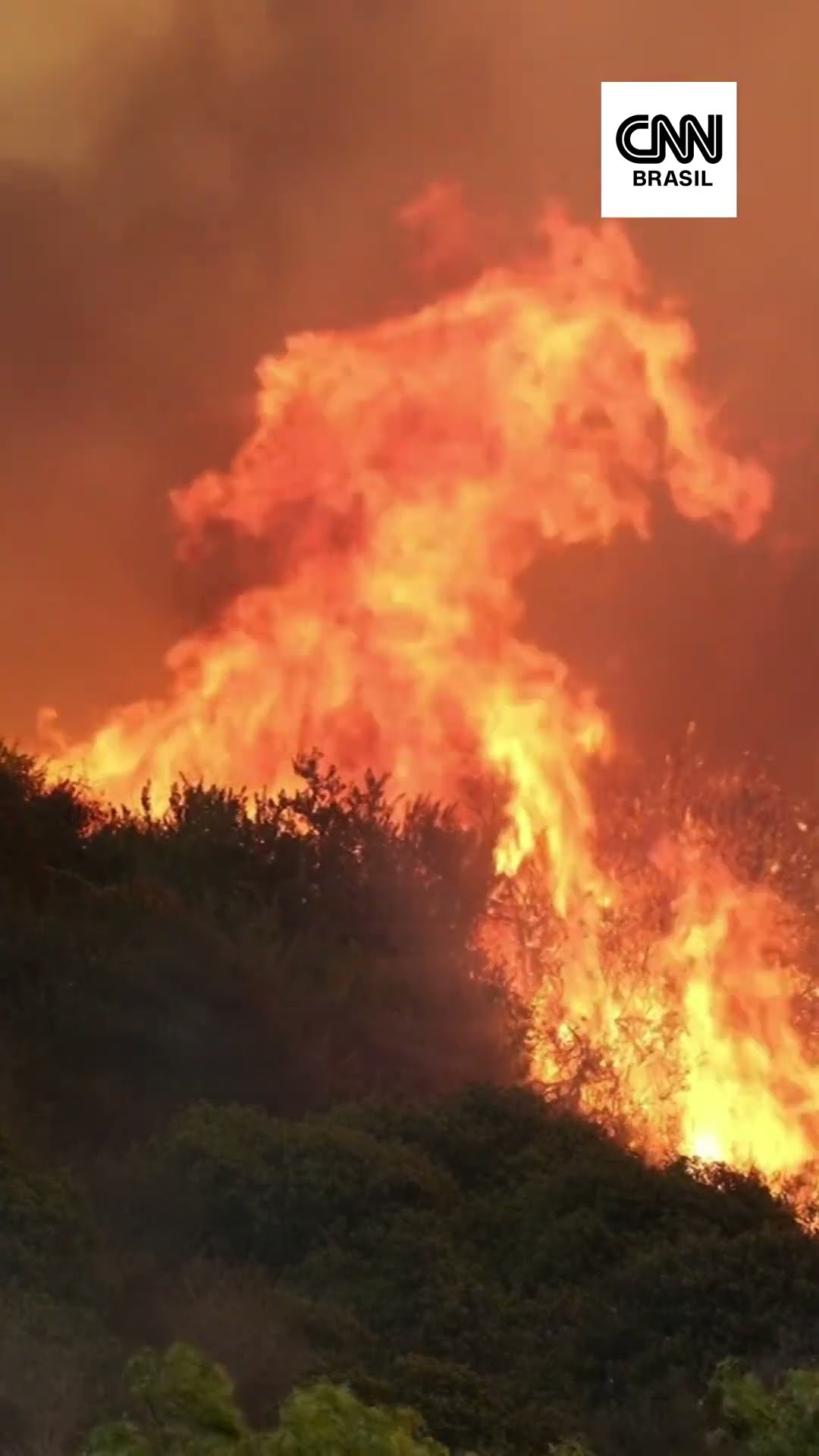 Los Angeles declara emergência após incêndios florestais #Shorts