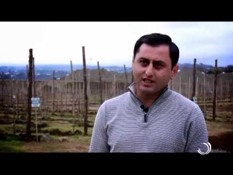 აგრორჩევები / სანერგეები / 23 03 2015