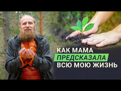 Видео: Какие «деревья» я обычно сажаю? Мама давно предсказала всю мою жизнь.