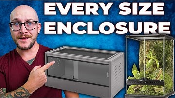 The Best Reptile for EVERY Enclosure Size