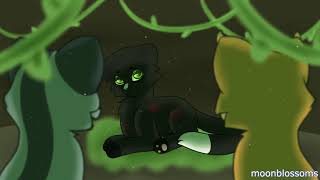 Panic Room- Ravenpaw PMV MAP- Parts 6 and 8
