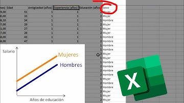 Tratamiento de VARIABLES FICTICIAS en Excel transformación de variable cualitativa en cuantitativa
