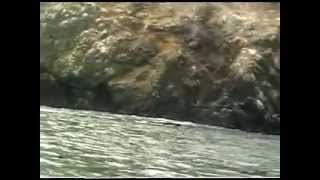 DE PESCA POR LA PLAYA EL DORADO-CHIMBOTE.Part. 2_