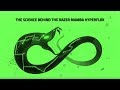 The science behind the razer mamba hyperflux