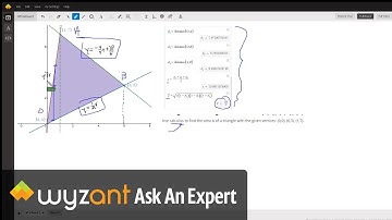 Given the coordinates of the vertices of a triangle find its area using calculus.