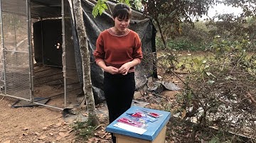 Test thử kéo tỉa răm cho các bác đam mê bonsai và cây cảnh 0983781388