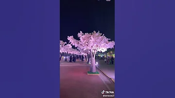 وساعات بتمنى اني اشوفك اغنيه روعه 
