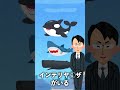 Q.水族館のシャチが人間を襲わないのは本当ですか?