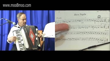 mooBmoo com Accordion E017