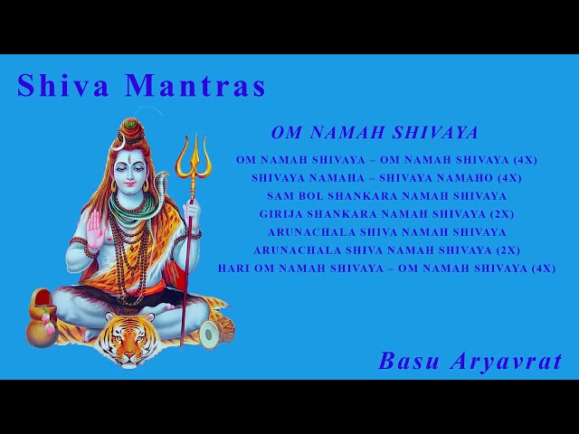 Om Namah Shivaya - Basu Aryavrat