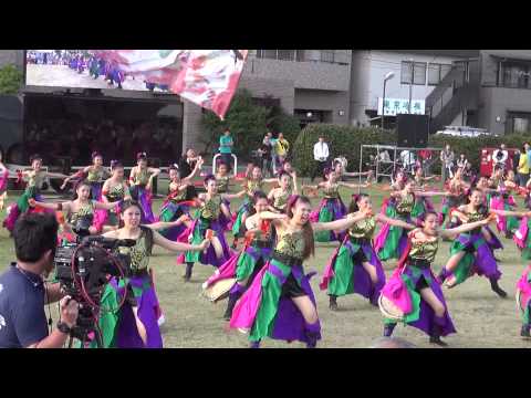 疾風乱舞 2013 飛天夢想 湘南よさこい 大賞演舞