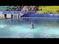 Art &amp; Swim, Solo, 13-15 лет, Прокофьева Ксения, Чемпионат Узбекистана 2021