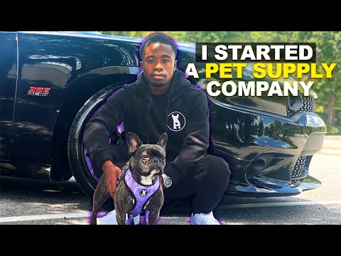 I Started A Pet Supply Company | Building A Brand From Scratch
