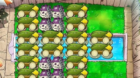 Classic 16 Cob | Pool Endless