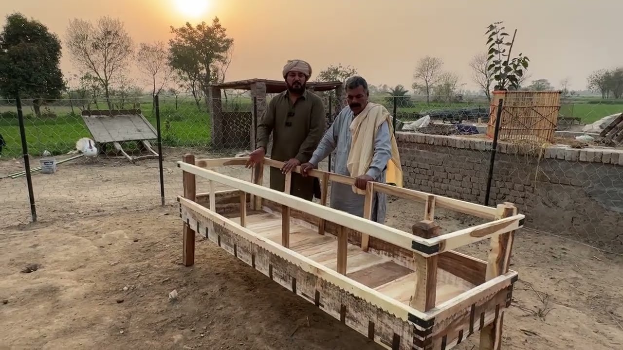 Bakrian lai navi khurli banwai | Pani da intazaam kita | Loosan nu spray kita | Anjum Saroya 