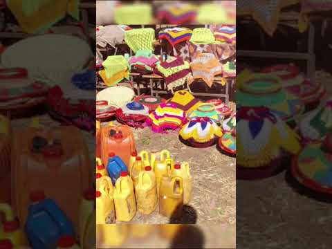 Hojii Misooma Aanaa Shanan Dhuuggootti Hojjetame